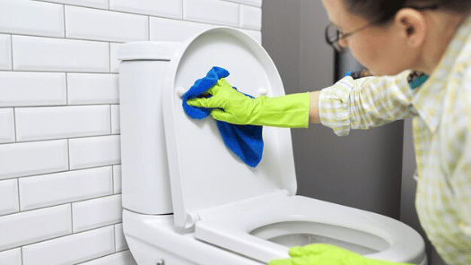 Tips Membersihkan Toilet