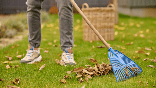 SOP Gardener Cleaning Service