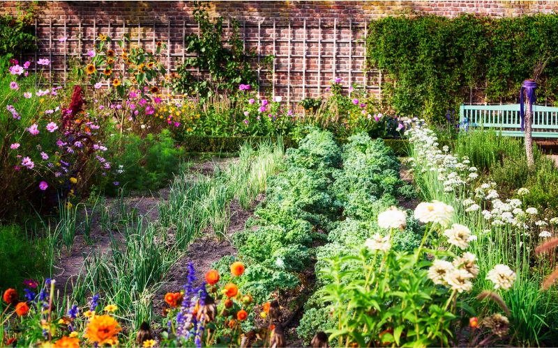 Cara Menata Kebun Bunga dan Sayur di Halaman Rumah