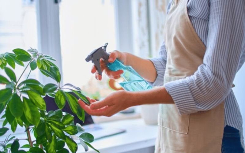 Gimana Sih Cara Merawat Kebun dan Tanaman di Sekitar?