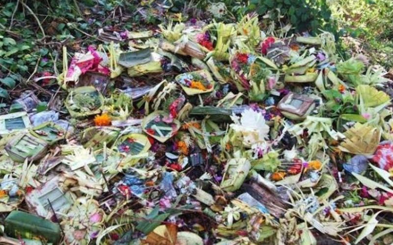 Limbah Canang dan Bunga Pasca Galungan Dapat Dijadikan Pupuk Alami untuk Tanaman