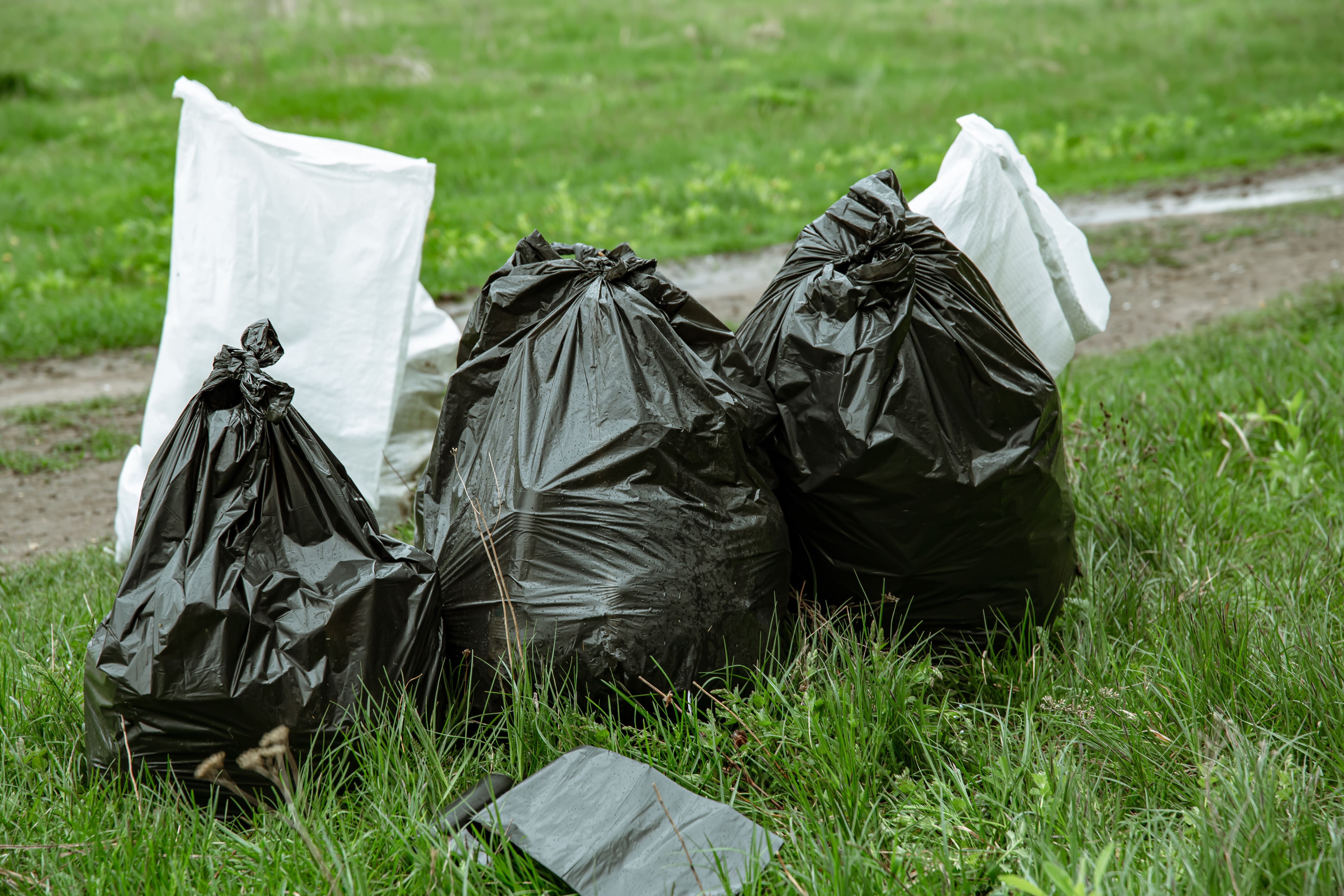 Mengapa Pengelolaan Sampah yang Baik Itu Penting?
